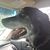 Missy Wolfe Sturm's profile image