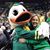 Amy Kausch-Newport's profile image