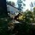Susan Moller's profile image