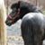 Ida Marie Walters-Caufield Lawell's profile image