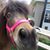 Kimley Souders Carpenter's profile image