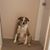 Missy Scott Williams's profile image