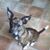 Luken Kayla Benoit's profile image