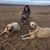 Paula Steptoe's profile image