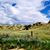 Connie Ruff-Kanta's profile image