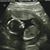 Emily Radspinner's profile image