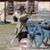 Fran Vanderveer's profile image