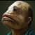 Stacy Helton's profile image