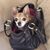 Tami Fairbanks Wilson's profile image