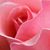 Jen Reaver's profile image