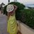 Sandra Diaz's profile image