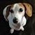 Bonnie Stith's profile image