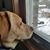 Audrey Parpart's profile image