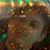 Marcin Brodziak's profile image