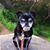Carolyn Jean Pacheco's profile image