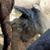 Dale Kastle's profile image