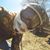 Mike Buser's profile image
