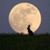 Michelle Haskew Hodge's profile image