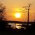 Jennifer Weatherly's profile image