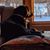 Lisa Huntley Holgate's profile image