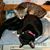 Cheri Weil's profile image