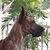 'Victoria Wilson's profile image
