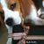 Shardul Kiri's profile image