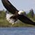 Kay Rader Compher's profile image