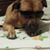 Vickie Schneider's profile image