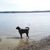 Jason Mc Larty's profile image