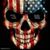 Chris Pelan's profile image