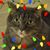 Beth Carter's profile image