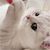Janice P. Curry's profile image