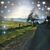 Belinda Carl Laflamme's profile image