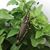 Jose Manuel Martis Pouso's profile image