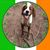 Eileen Newell's profile image