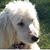 Lisa Aquilina's profile image