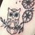 Shayla Eimer's profile image