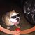 Bobby Love's profile image