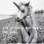 Jonathon Hanawalt's profile image