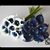 Sarah Bayton's profile image