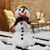 Debbie Peterek Drastata's profile image