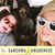 Stacy St Germain's profile image