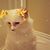 Liliana Cepeda Trevizo's profile image
