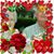 Bunny Sullivan's profile image