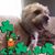 Nancy Centrella Munger's profile image