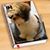 Hoang Tran's profile image