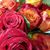 Tamie Best-Maier's profile image