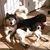 Rhonda Pulte's profile image