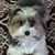 Vicky Cassels's profile image